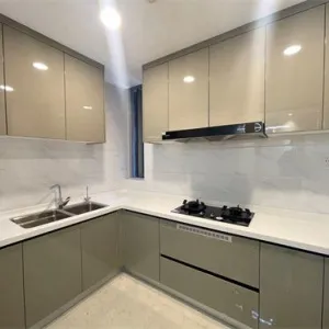 Dark Blue International Center