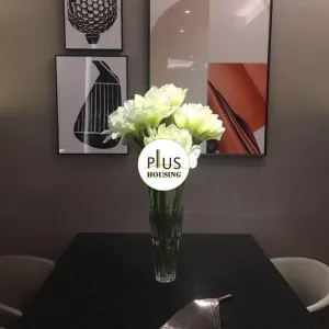 Shi Bao International