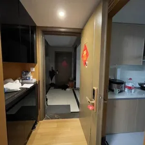 Green Town Yang Liu Jun