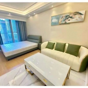 Dark Blue International Center