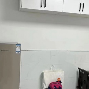 Gudang Xincun Dongqu