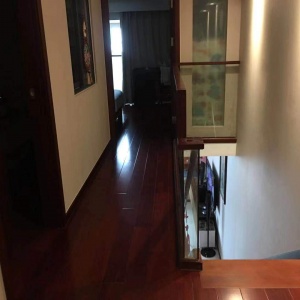 Day Trust International