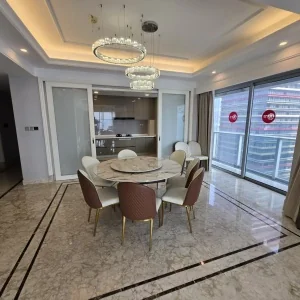 Dark Blue International Center