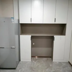 Zhong Nan Furture In 