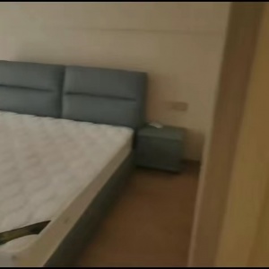 Zhong Nan Furture In 