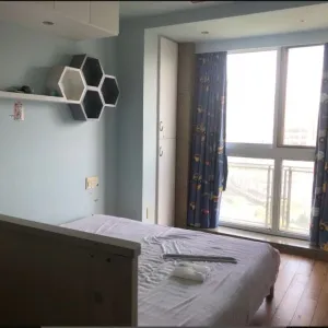 赞成林风（林风花园）