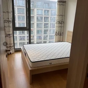 Green Town Yang Liu Jun