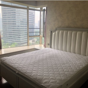 New City International