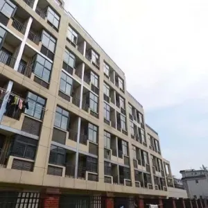 Dianxin Zonghe Dalou