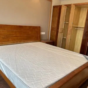 Green Town Yang Liu Jun