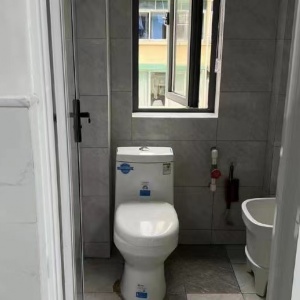 Gudang Xincun Dongqu