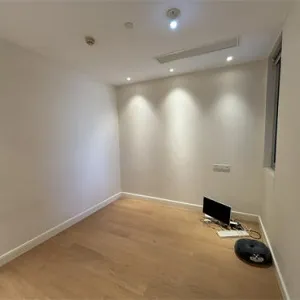 Dark Blue International Center