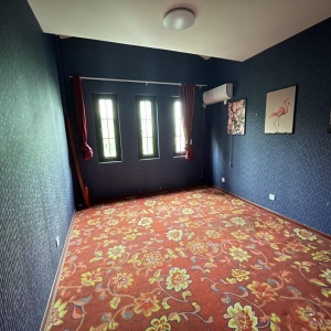 Geya Apartment Fu Shang Villa 