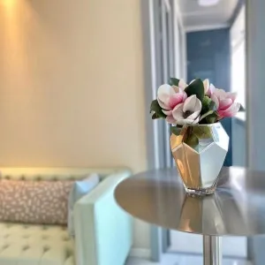 Dark Blue International Center