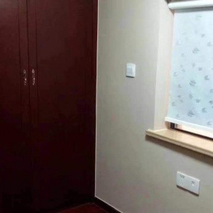 Day Trust International