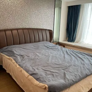 Green Town Yang Liu Jun