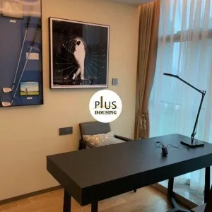 Shi Bao International