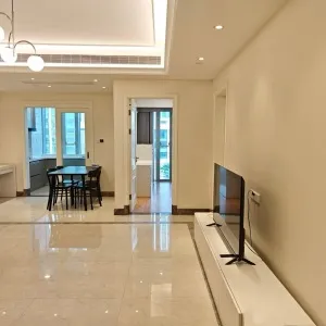 Dark Blue International Center