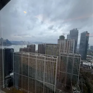 Dark Blue International Center