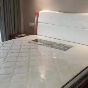 Day Trust International