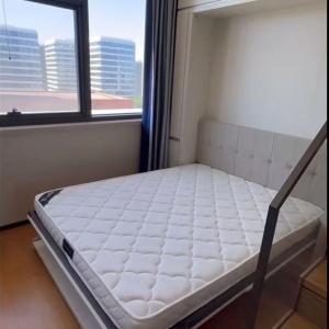 德信·杭州之翼