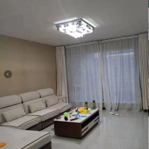 New City International