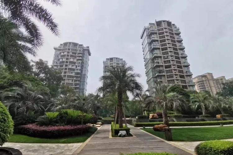 金色海岸