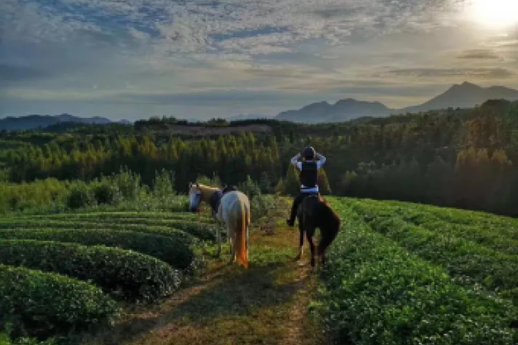春日周边好去处