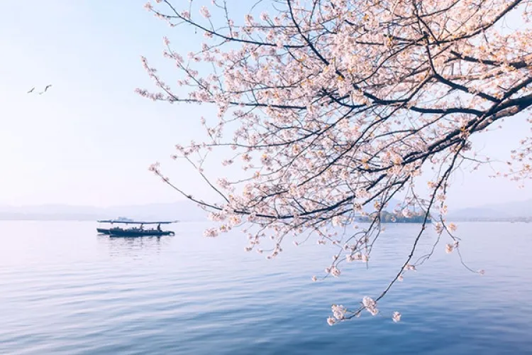 来杭州旅游的最佳时间